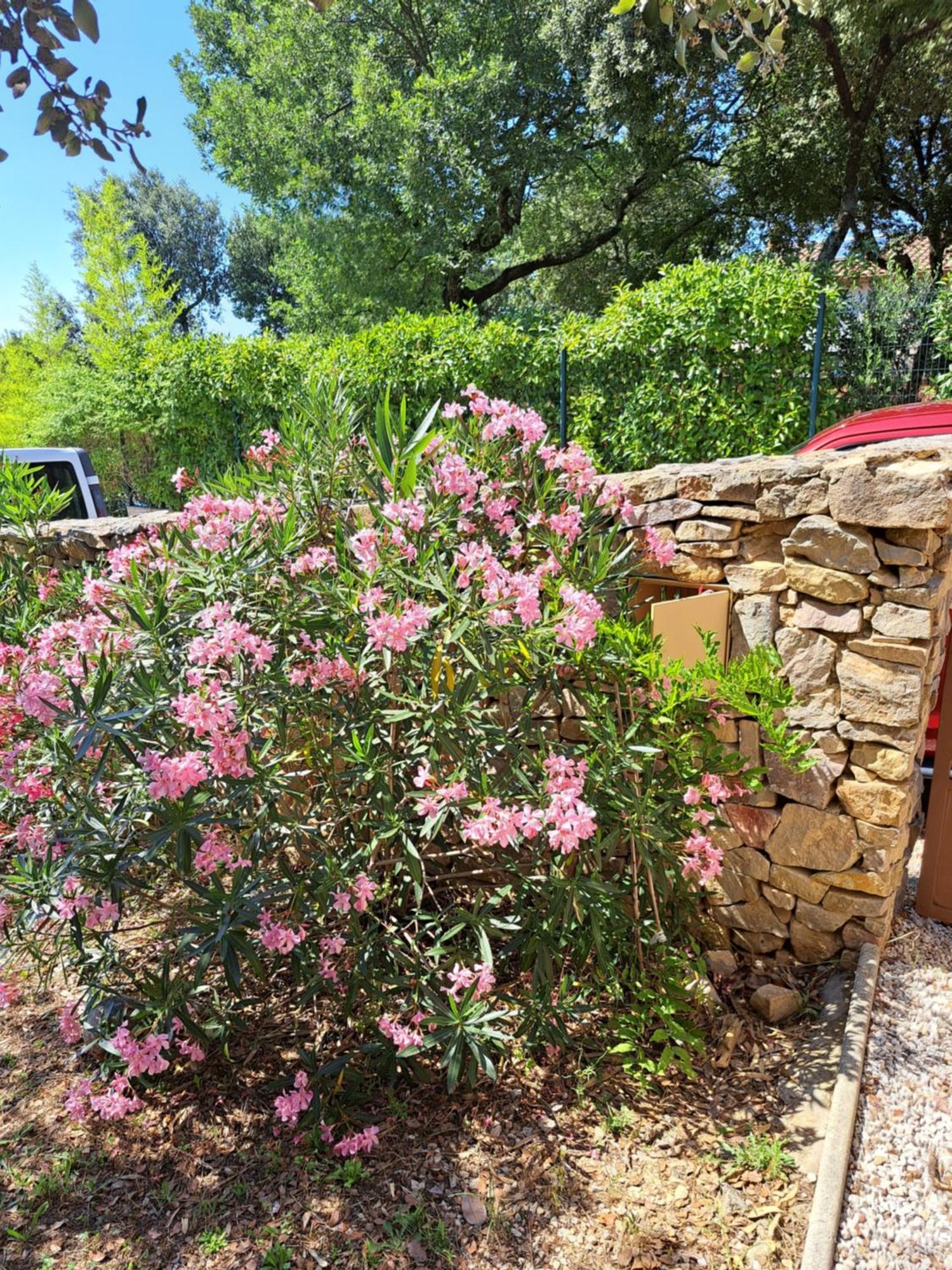 Le Calme De La Garrigue Bed & Breakfast Russan Exterior foto